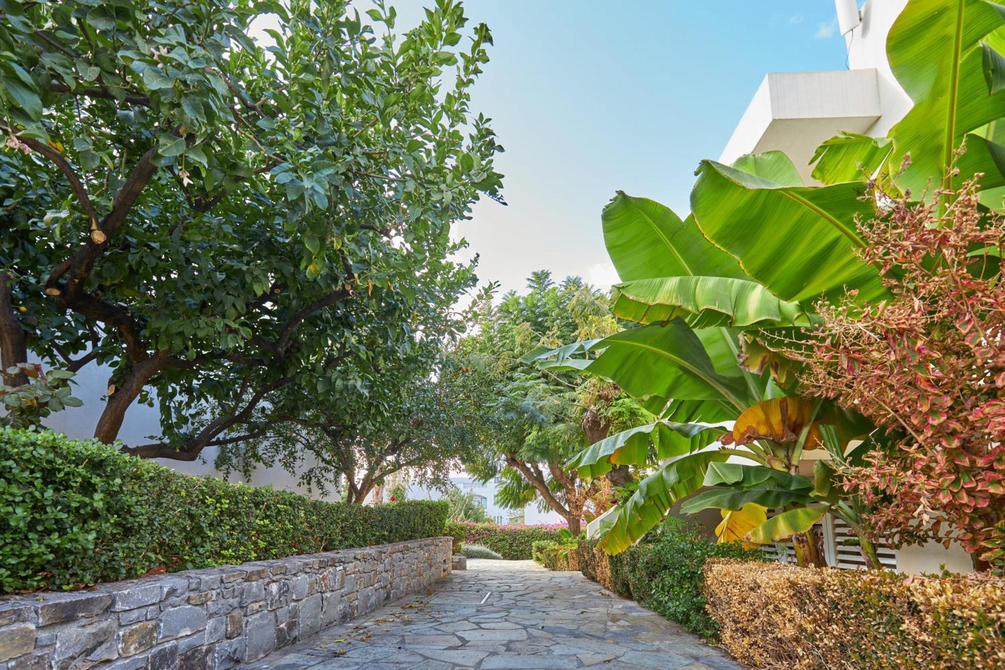 Kyknos Beach Hotel & Bungalows 말리아 외부 사진